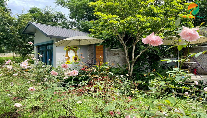 Vườn hoa bungalow