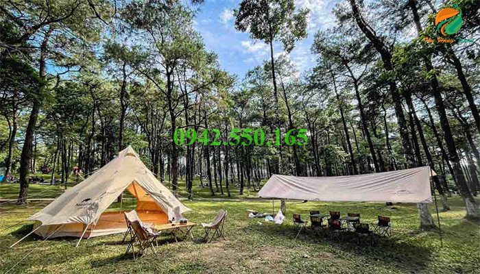 Cắm trại rừng thông Ba Vì giá rẻ