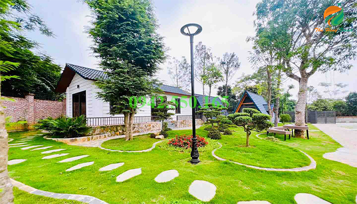 Không gian xanh tại Phong Sơn Homestay