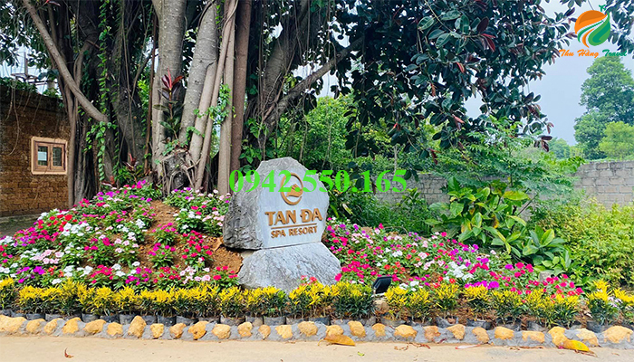 Tản Đà Spa Resort điểm nghỉ dưỡng 2023