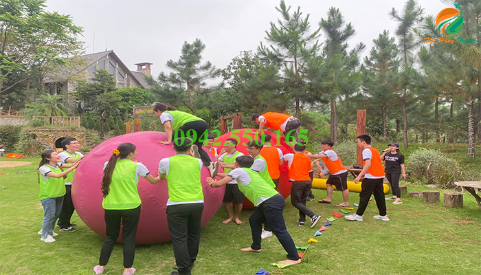 Game trái bóng khổng lồ trò chơi team building cho doanh nghiệp