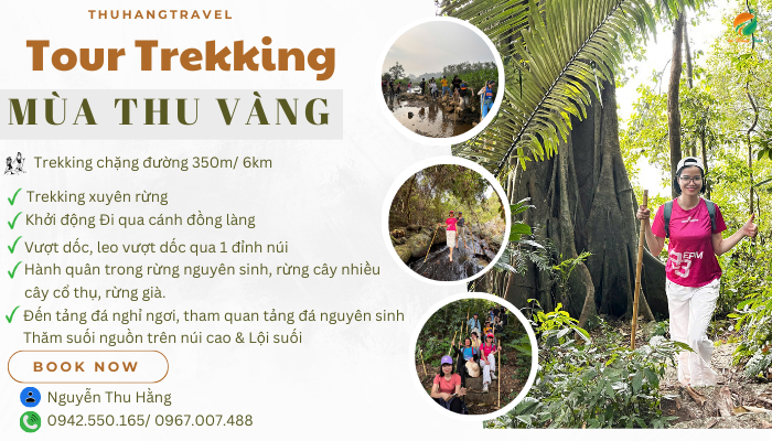 Tour trekking Ba Vì trong 1 ngày giá tốt