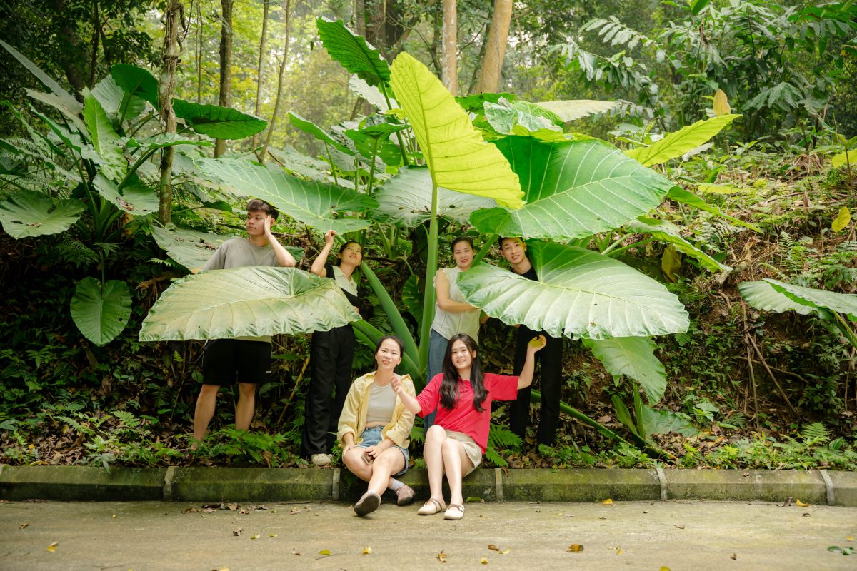 Checkin camping suối thác gần hà nội