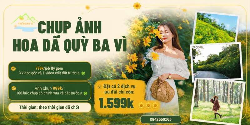 chụp ảnh hoa dã quỳ ba vì